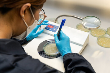 Scientist analysis and cultivate bacteria molds and fungal testing clinical samples, cultured in petri dish. Growth media to isolate total fungal by using colony counter in laboratory.