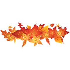 Naklejka na ściany i meble autumn objects maple leaves autumn leave fall