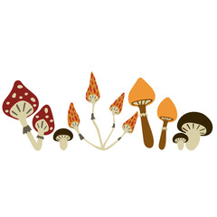 Different mushrooms on a white background. Autumn clipart, fly agaric stickers