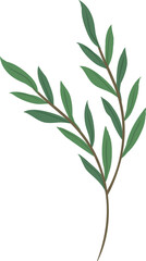 Obraz premium plant leaves 284