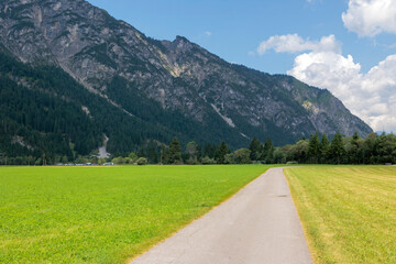 Field path between green mowed meadows towards Heiterwanger lake with mountains in the background...
