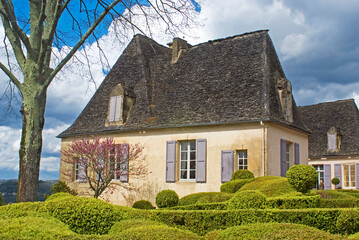 Buxus sempevirens, Buis,  Les jardins suspendus, chateau de Marqueyssac, 24, Dordogne, France