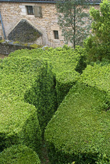 Buxus sempevirens, Buis,  Les jardins suspendus, chateau de Marqueyssac, 24, Dordogne, France