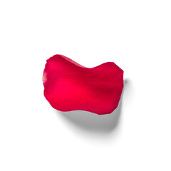 Close up view red rose petals isolated on white background.