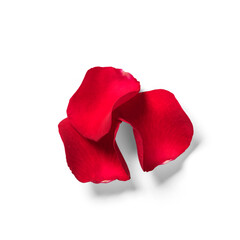 Close up view red rose petals isolated on white background.