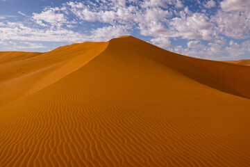 Fototapeta na wymiar Wind swept patterns in the sand on a dune