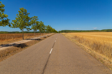 Fototapeta na wymiar Rural road in the Spanish