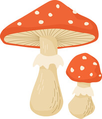 Amanita mushroom vector illustration. Poisonous mushrooms in forests