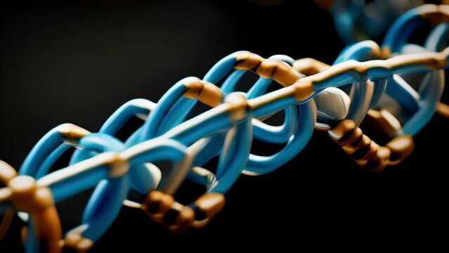 Macro microscope video of tRNA A detailed view of the structure of a tRNA molecule composed of the carbonbased backbone and 74 nucleotides. These nucleotides form two loops