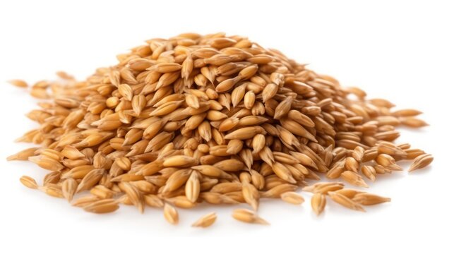 wheat grain isolated on white