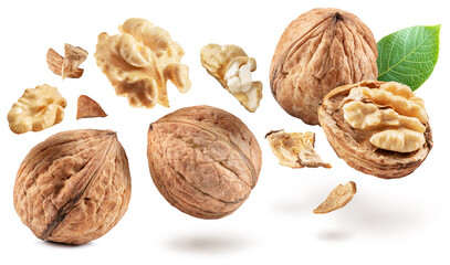 Whole walnuts and walnut kernels levitating in air on white background.