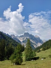 Fototapeta premium In den Bergen