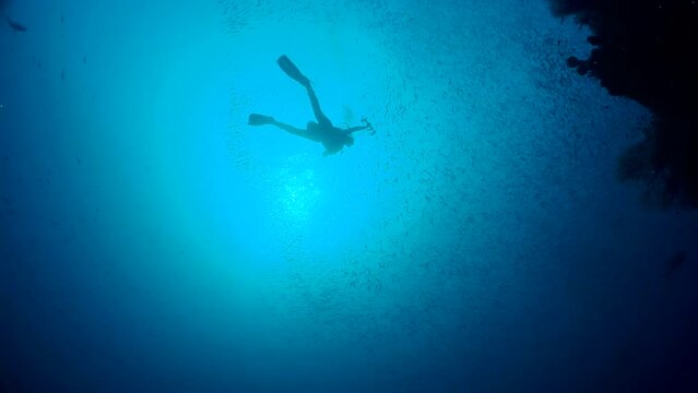 Scuba diver underwater. A silhouette of diver in clear blue water