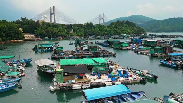 Aerial over the fishing boats and rafts of the fish farms on Ma Wan island, Hong Kong, China. In the background can be seen the Kap Shui Mun Bridge. Drone dolly forward shot