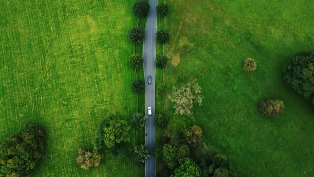 Overhead drone footage of two cars driving down a lane in a wooded country estate
