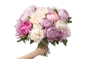Woman hands holds a bouquet of peonies isolated on transparent background