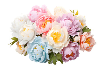 Woman hands holds a bouquet of peonies isolated on transparent background