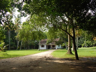 A little house in the garden
