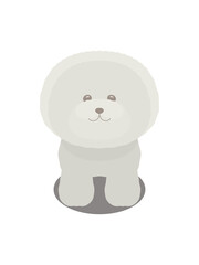 Standing bichon dog Front illustration