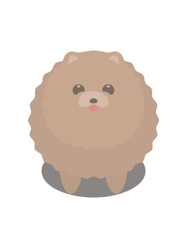 Standing pomeranian dog ID photo illustration