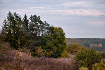 A large clearing at the edge of the colored forest. Dry grass in the autumn season on the wild fields