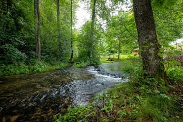 Obraz premium Beautiful clean little river. Roztocze, Poland, Sopot River