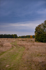 Fototapeta na wymiar A trail through the middle of a dry meadow in the autumn season. Wild place close to the forest far from civilization 