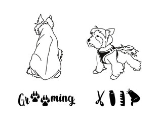 Drawing of an overgrown and trimmed Yorkshire Terrier. Beauty salon for dogs. Grooming service logo
