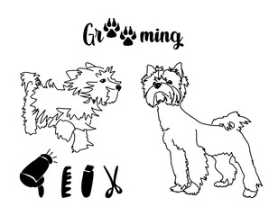 Drawing of an overgrown and trimmed Yorkshire Terrier. Beauty salon for dogs. Grooming service logo