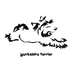 Lying stylized Yorkshire terrier. Vector drawing of a small dog with a haircut and hypoallergenic hair. Animal Gestalt Design