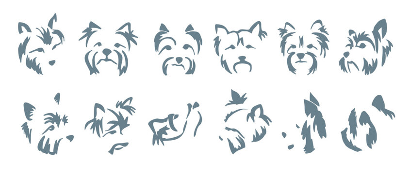 Set of different expressions of a Yorkshire terrier muzzle. Vector drawing of the head of a small dog. Gestalt animal design