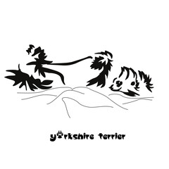 Lying stylized Yorkshire terrier. Vector drawing of a small dog with a haircut and hypoallergenic hair. Animal Gestalt Design