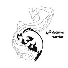 Lying stylized Yorkshire terrier. Vector drawing of a small dog with a haircut and hypoallergenic hair. Animal Gestalt Design