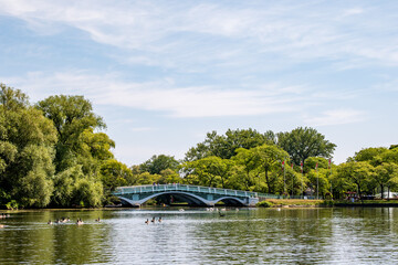bridge on the toronto islands  (city park)with waterfowl in the foreground and blue sky in the background room for text
