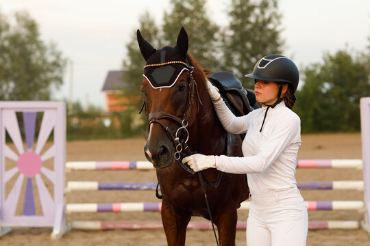 Dressage horse and jockey rider in uniform portrait during equestrian jumping competition show