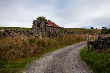 Ruined Cottage near Allenhead