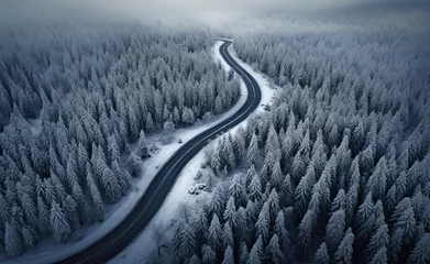 Tuinposter paisaje de bosque nevado siendo atravesado por una carretera limpia, ilustración de IA generativa © Helena GARCIA