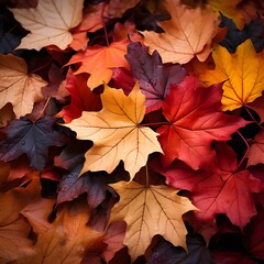 Naklejka na ściany i meble Leaves autumn