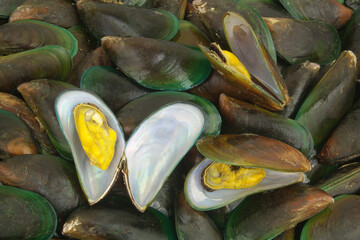 Fresh raw green mussels as background, three mussels open.	