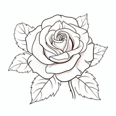 white and black outline of a rose isolated on white background