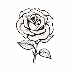 white and black outline of a rose isolated on white background