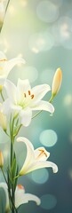 Fototapeta na wymiar Enchanted Lily Ensemble - Blossoms Set Against a Shimmering Bokeh Dreamscape - A Vivid Canvas Ready for Your Expression - Beautiful Bokeh Flowers Lilys Background created with Generative AI Technology