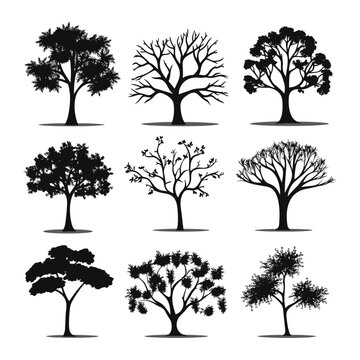 Set of tree silhouettes isolated on white background vector illustration