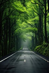 Obraz premium Road in the forest up to mountain