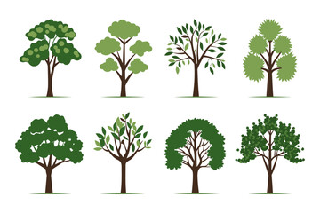 Set of tree vector in simple flat style isolated on white background