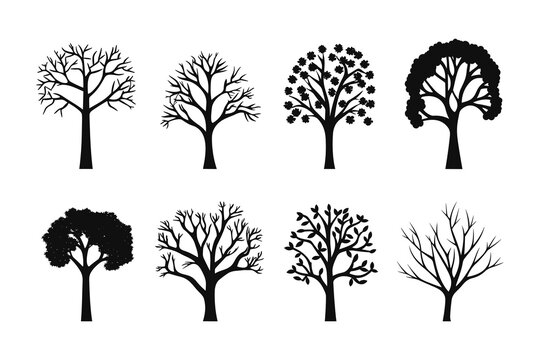 Big set of tree silhouettes vector isolated on white background