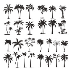 Big set of coconut tree silhouettes vector isolated on white background