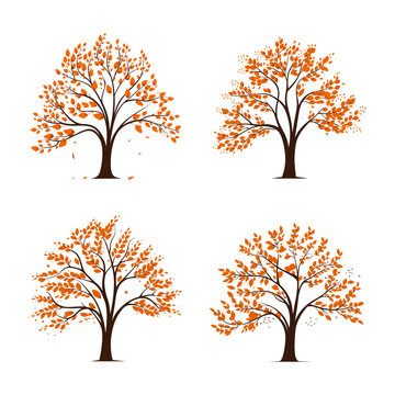 Set of autumn trees with orange leaves isolated on white background