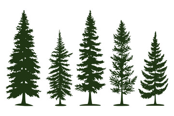 Set of silhouettes of spruce trees vector illustration
