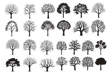 Fototapete Boho-Stil Big collection of tree silhouettes isolated on white background vector illustration